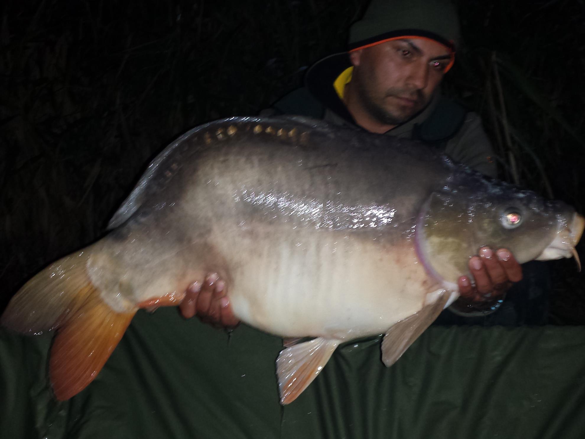 Harsany 2014 - 20141014192244.jpg